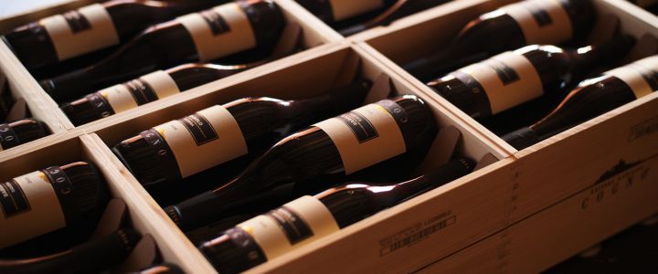 July 2025 Newsletter – From the cellar